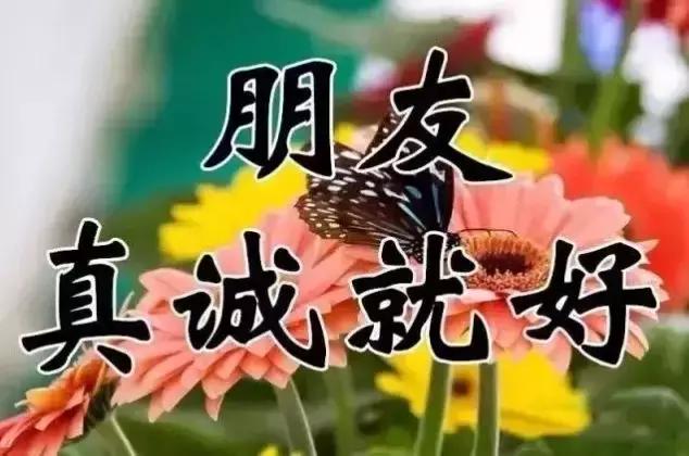 祝你天天快乐早上好图片,祝大家早上好天天有个好心情