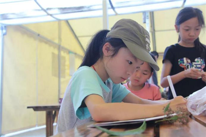 童年的滋味就是-嘴角有笑，抬头有星星——大露营实录Day6