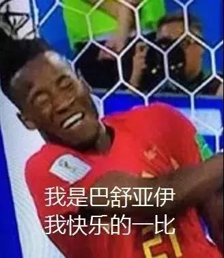 比利时人语言天赋,比利时人眼中的幽默