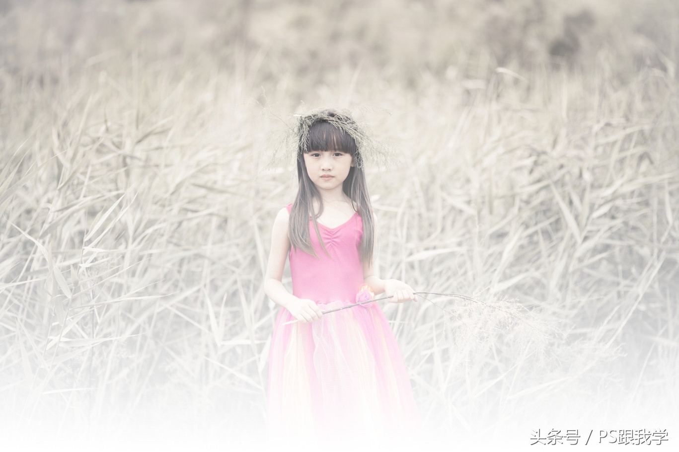 camera照片调色教程,如何用PS2018调整照片色彩