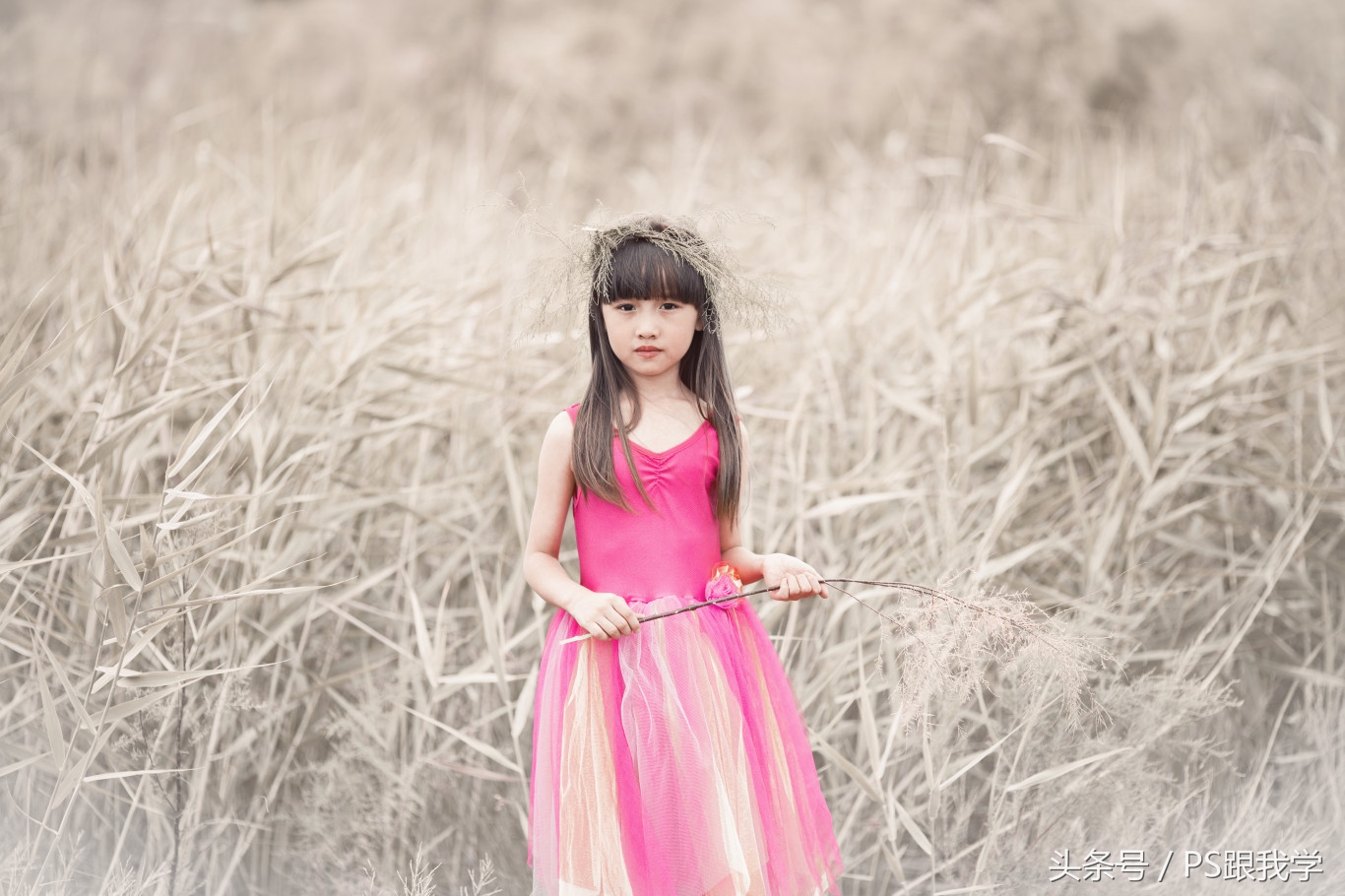 camera照片调色教程,如何用PS2018调整照片色彩