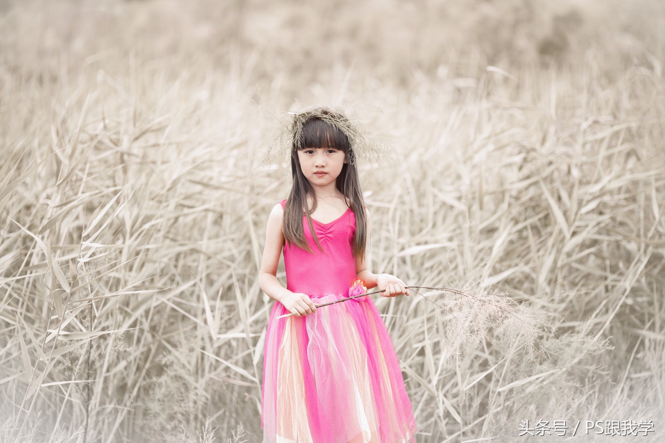 camera照片调色教程,如何用PS2018调整照片色彩