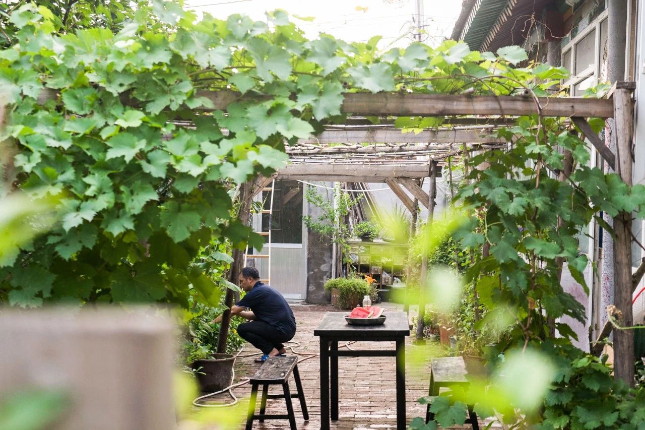 一个失业大叔，用1500元拍下自己幸福的父母，豆瓣9.2分！