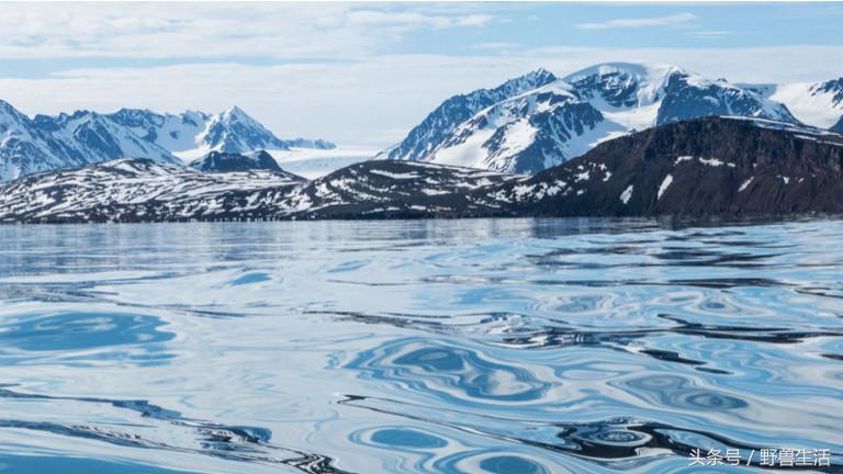 世界上有哪些人类禁地,世界上有秘境吗