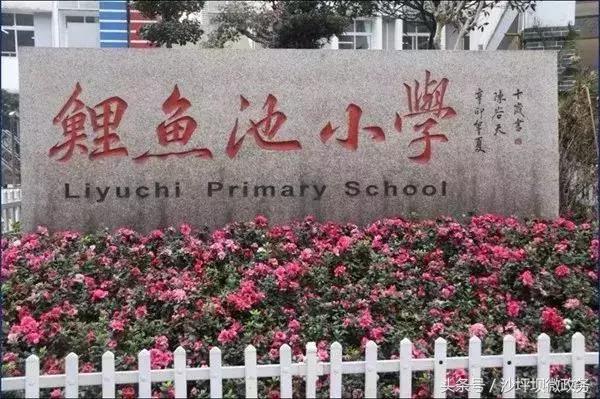 重庆通用晶城对口小学与中学,2023年重庆中小学划片