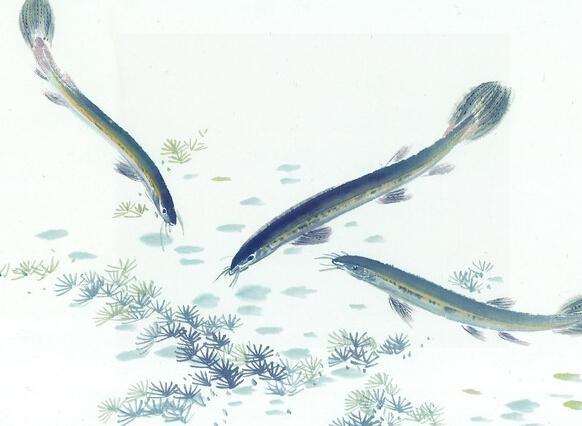 马桶堵塞最快的疏通方法没刷子,马桶堵塞到处是水最快的疏通方法