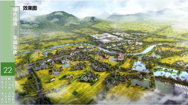 专家助力乡村振兴,专家建言献策助力乡村振兴