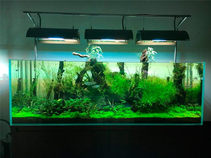 1.8米嵌入式生态鱼缸制作教程,新手如何制作生态造景小鱼缸