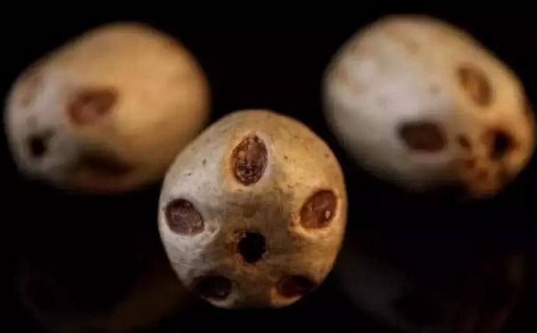 菩提子手串各种纹路图片,各类型的菩提子手串图片