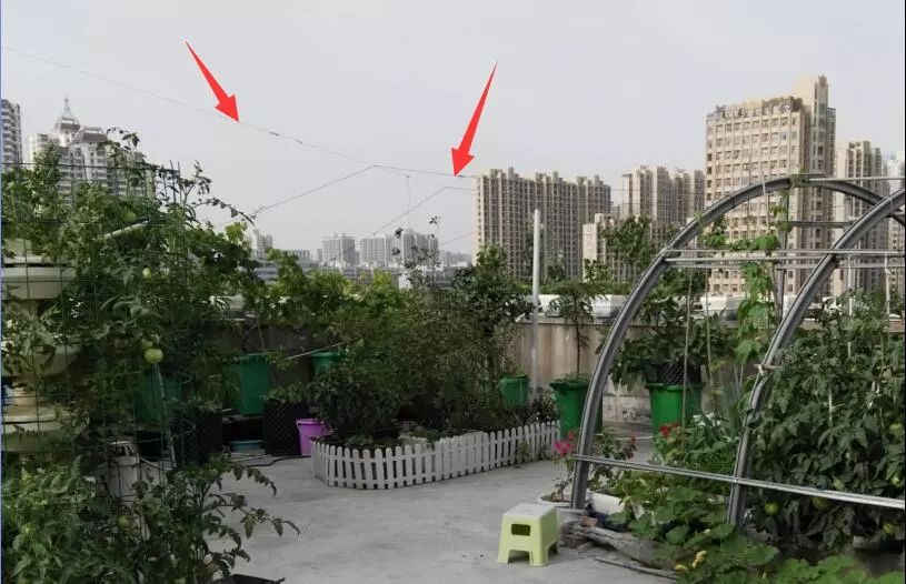 楼顶菜园土层多厚好,顶楼菜园如何防风