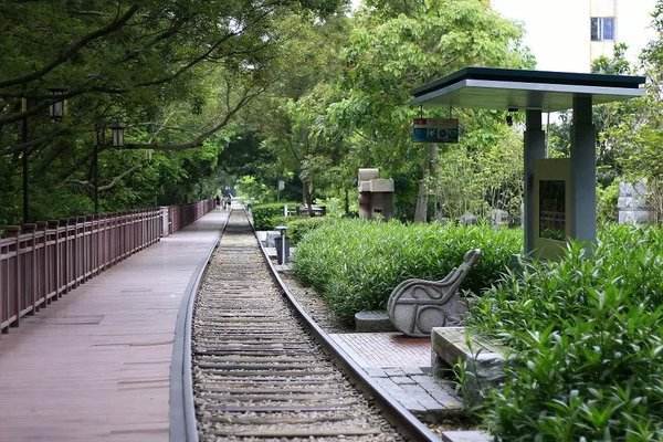 厦门旅游吃的攻略,厦门自由行逛吃攻略