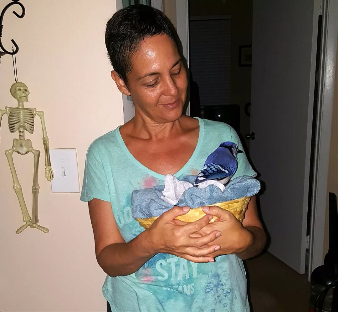 万物皆有灵救小鸟,万物皆有灵有人救了