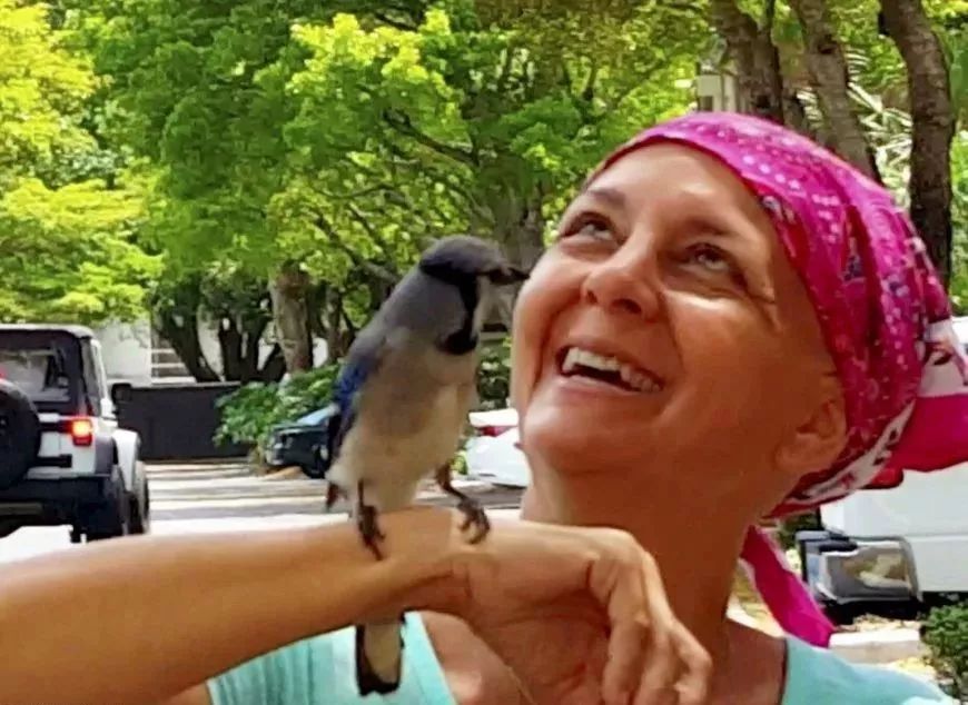 万物皆有灵救小鸟,万物皆有灵有人救了