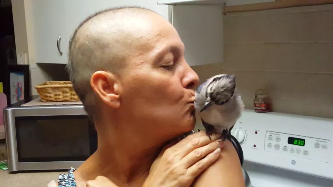 万物皆有灵救小鸟,万物皆有灵有人救了