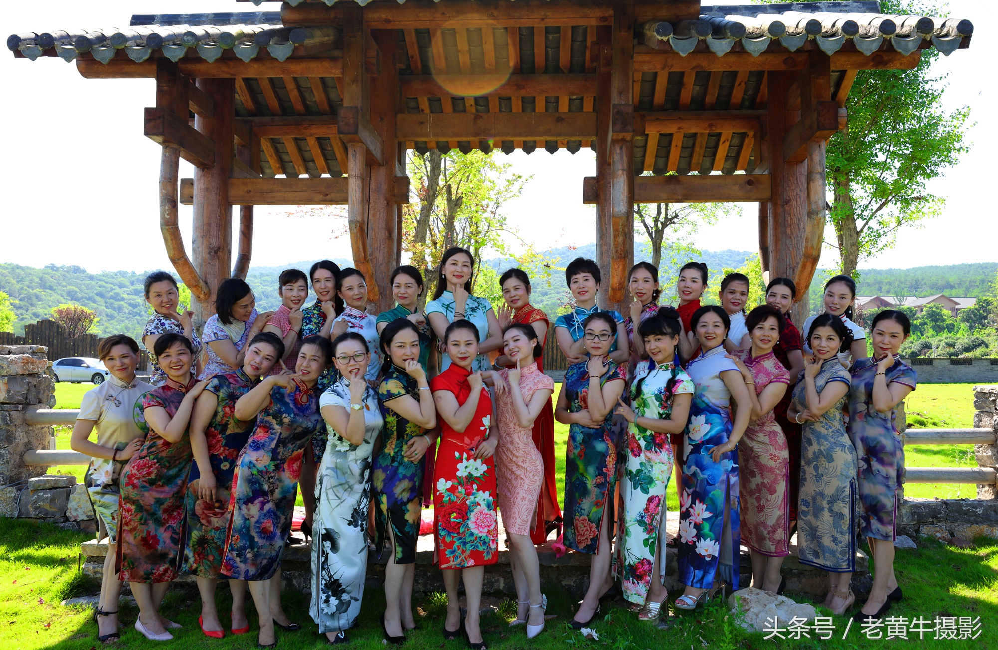 京山老年旗袍秀视频,月季园旗袍走秀