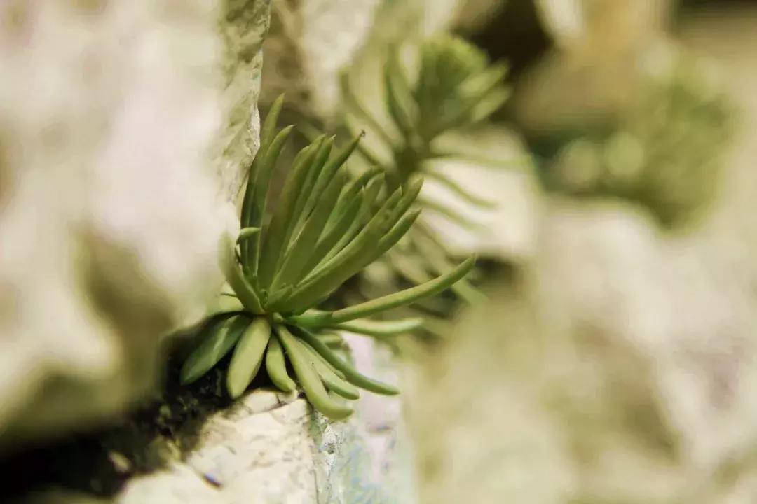 井陉这个村不输于家石头村，去了你就不想走！