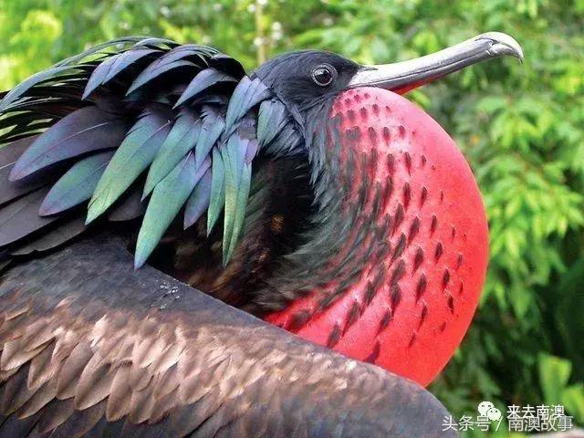 这座小岛究竟隐藏了多少秘密,一座鲜为人知的隐藏小岛