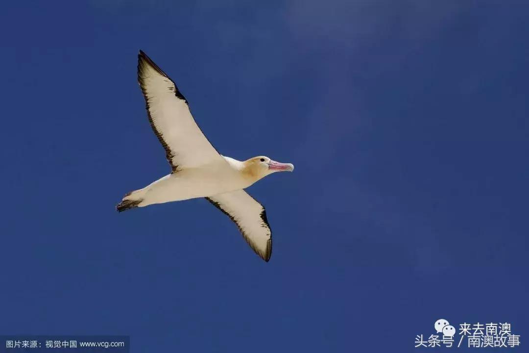 这座小岛究竟隐藏了多少秘密,一座鲜为人知的隐藏小岛
