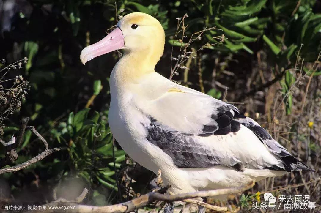 这座小岛究竟隐藏了多少秘密,一座鲜为人知的隐藏小岛
