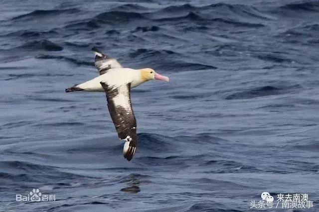 这座小岛究竟隐藏了多少秘密,一座鲜为人知的隐藏小岛
