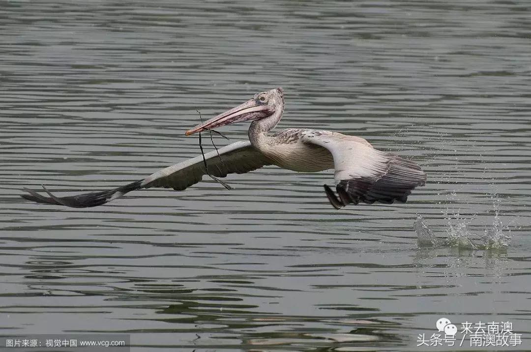 这座小岛究竟隐藏了多少秘密,一座鲜为人知的隐藏小岛