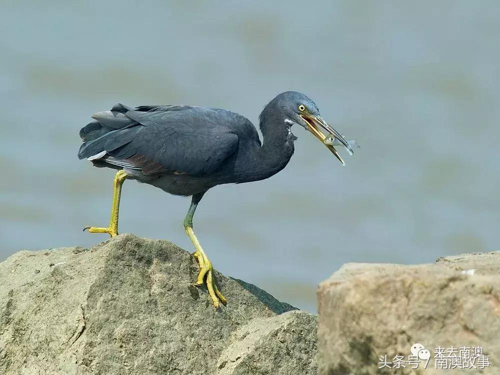 这座小岛究竟隐藏了多少秘密,一座鲜为人知的隐藏小岛