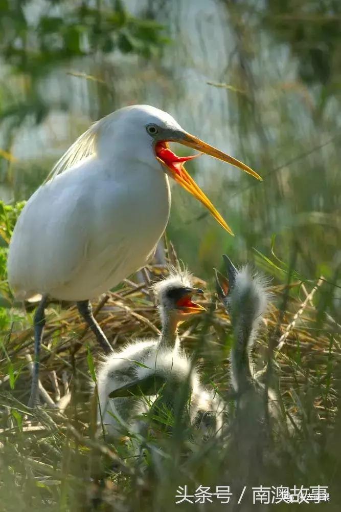 这座小岛究竟隐藏了多少秘密,一座鲜为人知的隐藏小岛
