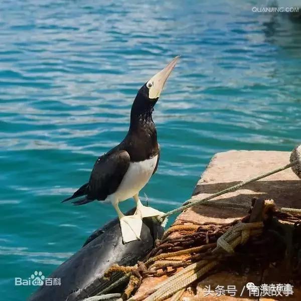 这座小岛究竟隐藏了多少秘密,一座鲜为人知的隐藏小岛