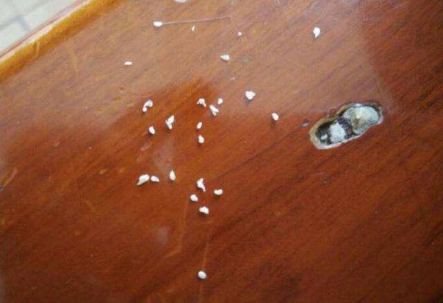 头发油腻头屑多怎么回事,头屑多头发油得快解决妙招