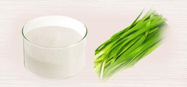 家里有蚂蚁怎么办如何快速除蚁,厨房和卫生间有蚂蚁是怎么回事