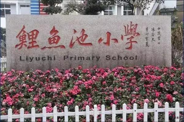 重庆天地人和街小学对口中学,重庆双湖小学对口中学是哪个