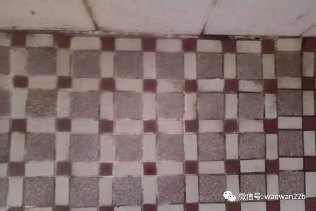 无数种让蟑螂死的高效办法,干掉蟑螂的100种方法