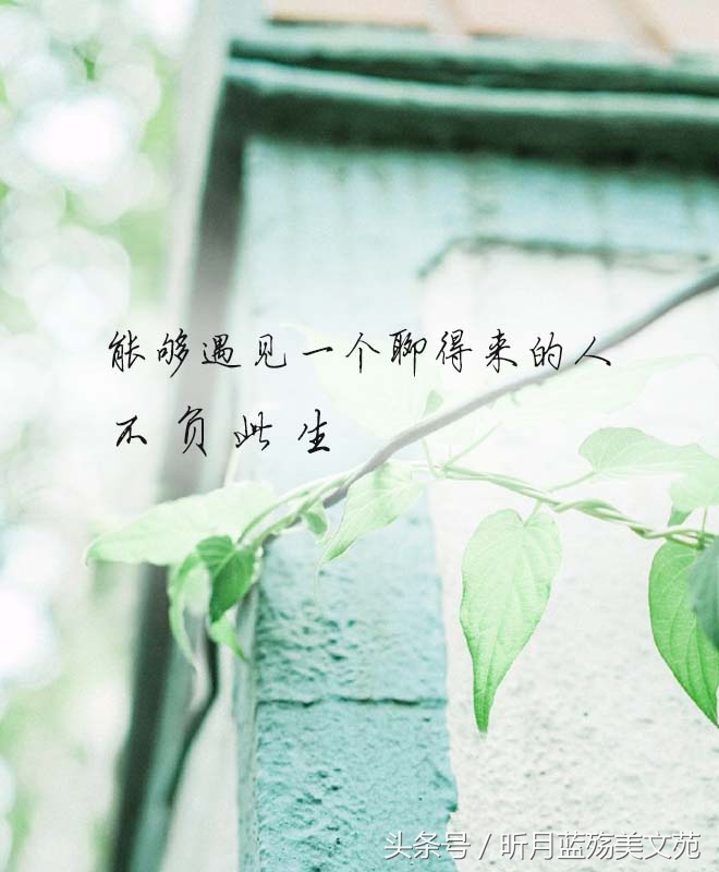 有一种爱叫做放手泪目,世上有一种爱叫放手