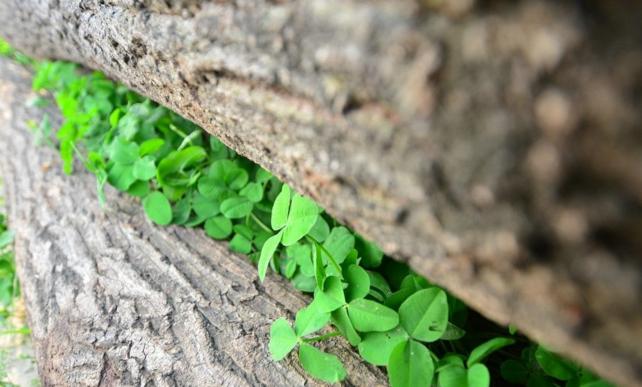 月入60万的生意思维,做小生意年入百万的底层逻辑