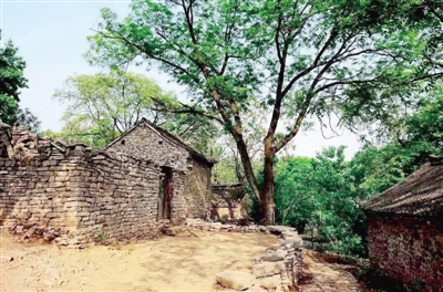 7月20日0时至8月20日24时走洛栾高速游嵩县，7座以下客车免费