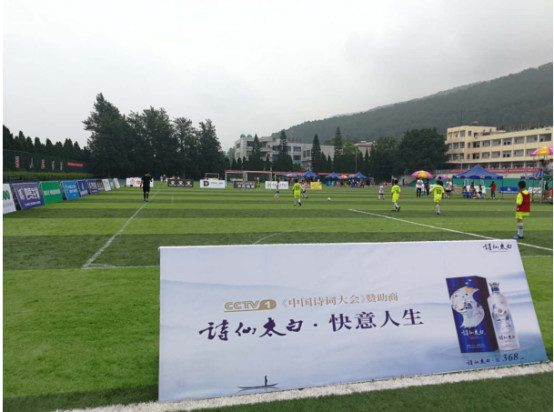 邛海杯2018u9组,高原杯全国青少年足球邀请赛