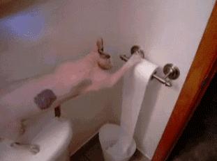 防油腻指南,厨房防水防油腻妙招