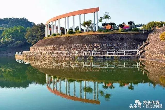 看世界杯决赛的过程,看世界杯决赛感受