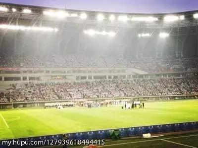 泰达现在情况怎么样了,泰达这五年