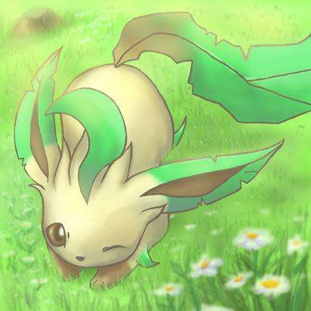 神奇宝贝里最可爱的6只精灵,最萌最可爱的前十名神奇宝贝