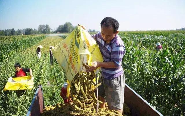 家庭农场和农业合作社,中小农业合作社贷款政策