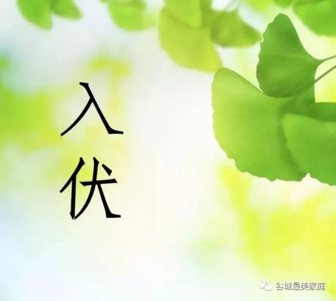 三伏天指南请查收,明日入伏请收好这份三伏天攻略