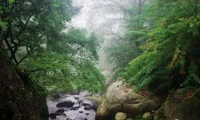 2022年宝鸡避暑好去处,宝鸡周边夏日避暑绝佳去处