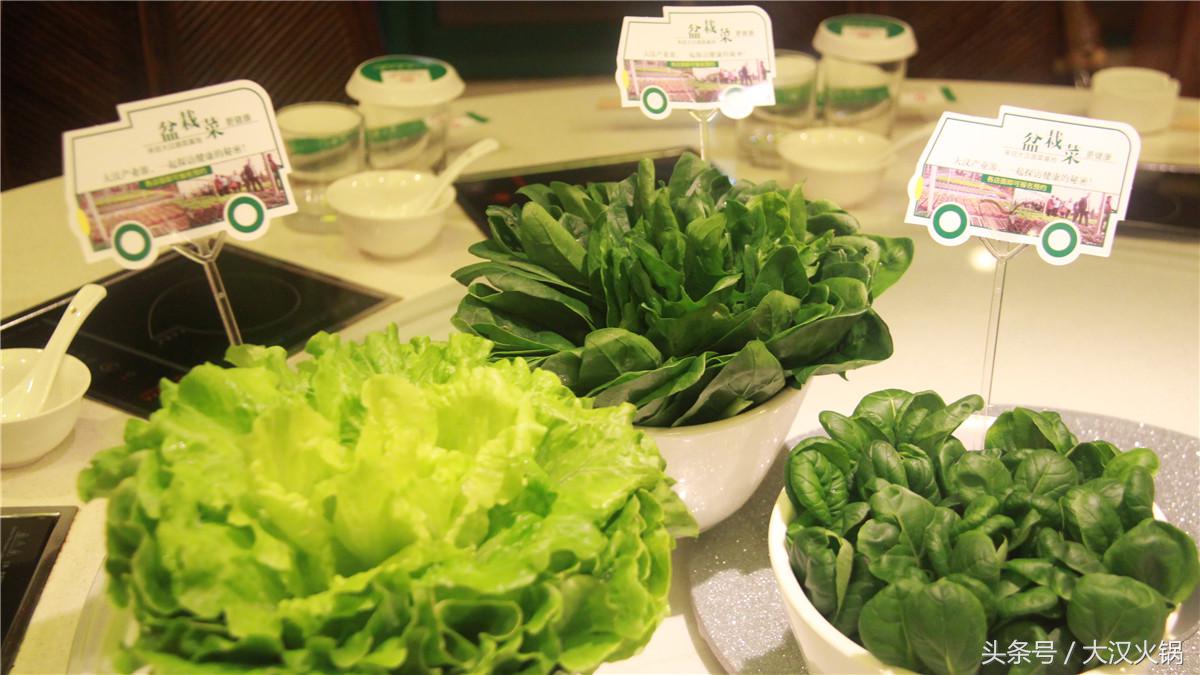 大汉火锅馆,大汉火锅生活馆