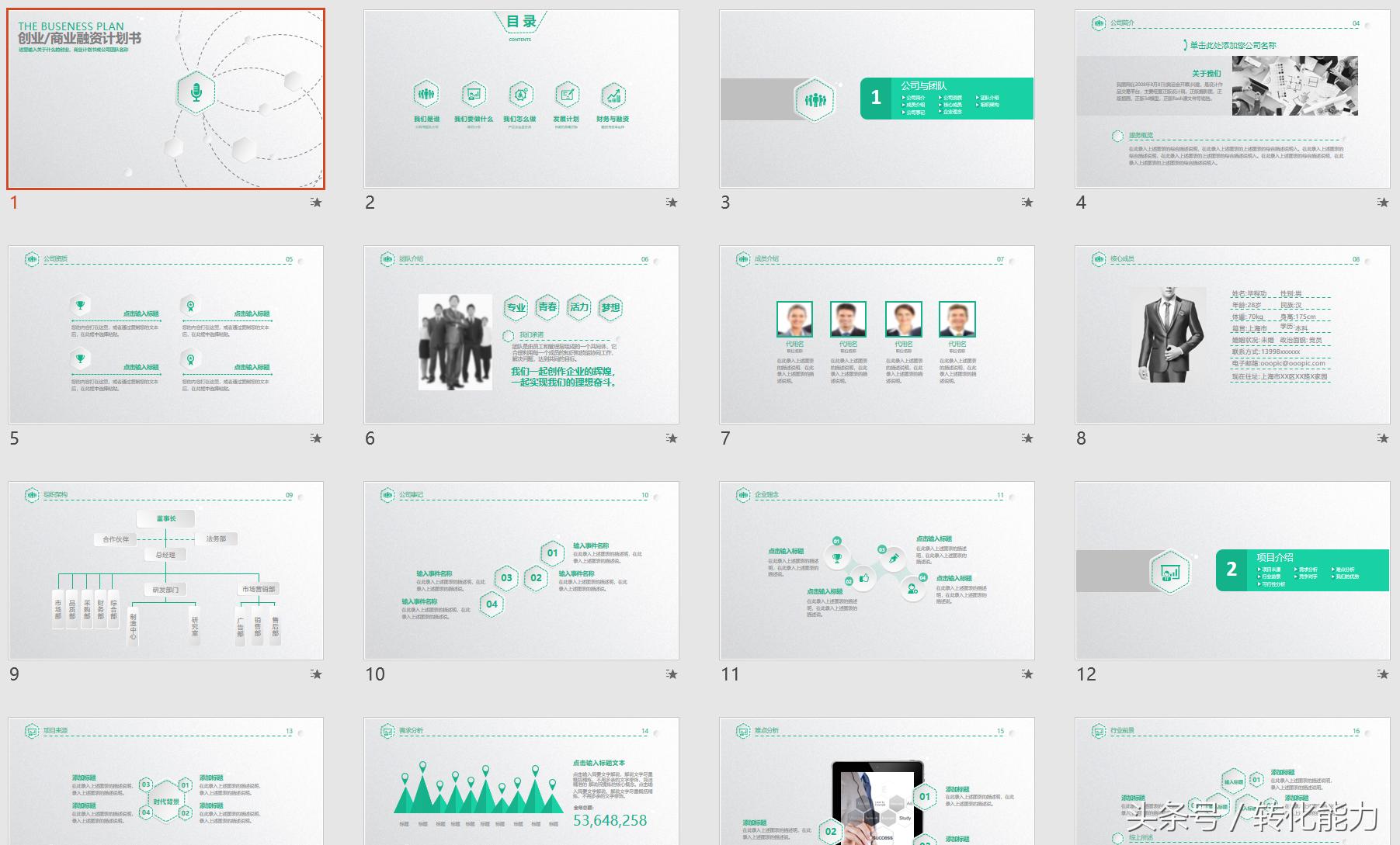 成功融资项目计划书案例,成功投资人的挣钱手册