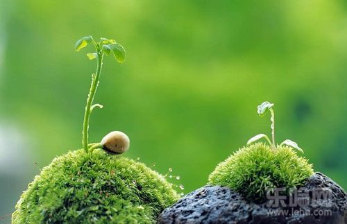 #实用生活小窍门#,33个实用生活技巧书