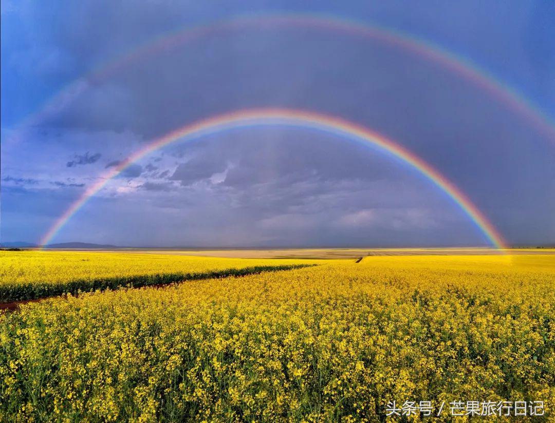 大美青海7月最美的风景,四川青海旅游十大必去景点