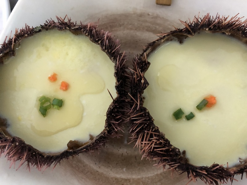 我和大海有个约会三亚看海之旅,我们与三亚的浪漫之旅