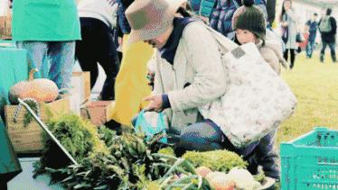 一个辍学生，在大理租下23个足球场大的地方温暖了整个大理！