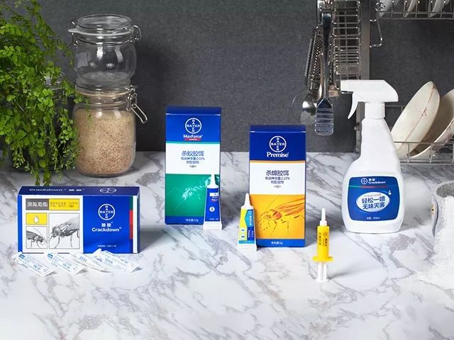 杀蟑胶饵用多久能把蟑螂彻底清除,杀蟑胶饵高效率除蟑螂